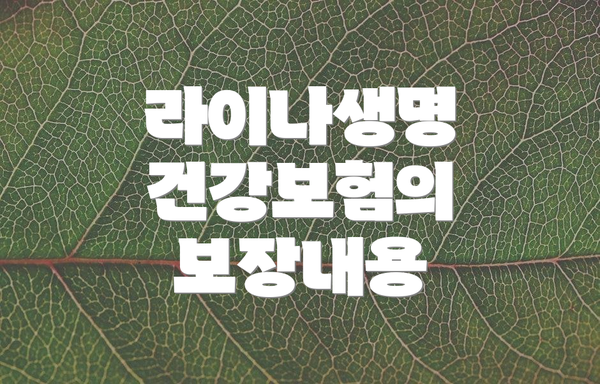 라이나생명 건강보험의 보장내용