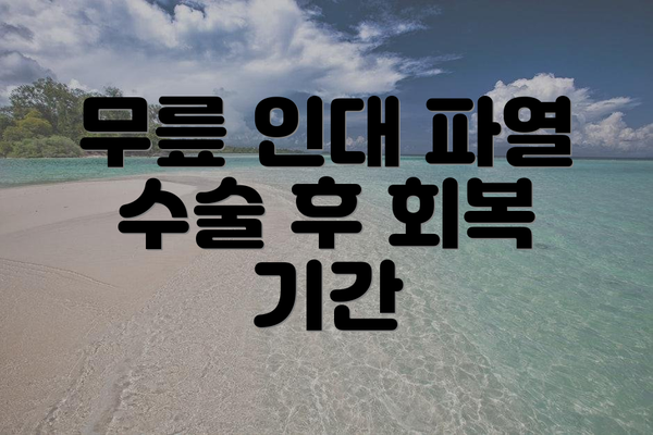 무릎 인대 파열 수술 후 회복 기간