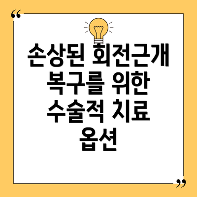 손상된 회전근개 복구를 위한 수술적 치료 옵션