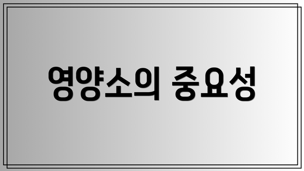 영양소의 중요성