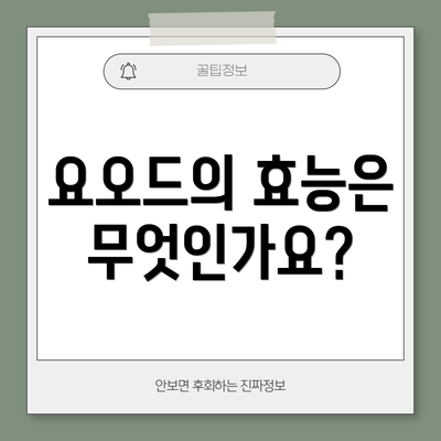 요오드의 효능은 무엇인가요?