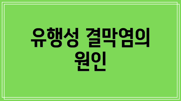 유행성 결막염의 원인
