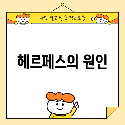헤르페스의 원인