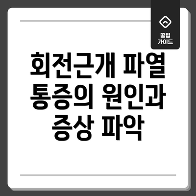 회전근개 파열 통증의 원인과 증상 파악