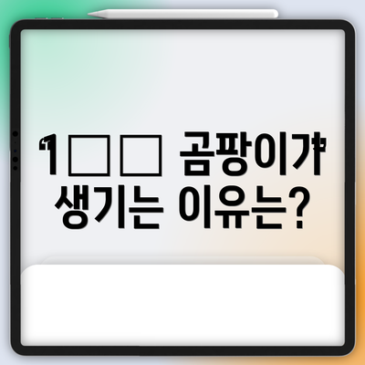 1️⃣ 곰팡이가 생기는 이유는?