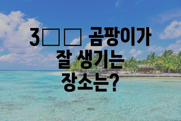 3️⃣ 곰팡이가 잘 생기는 장소는?