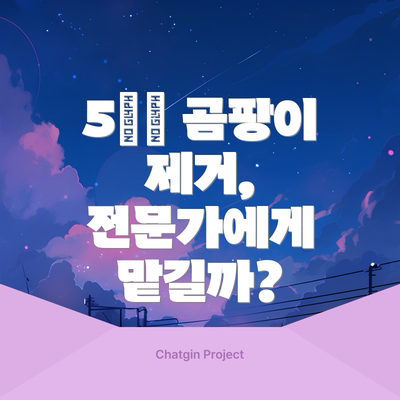 5️⃣ 곰팡이 제거, 전문가에게 맡길까?