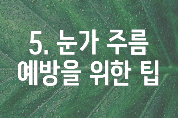 5. 눈가 주름 예방을 위한 팁