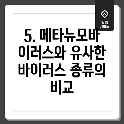 5. 메타뉴모바이러스와 유사한 바이러스 종류의 비교