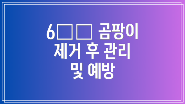 6️⃣ 곰팡이 제거 후 관리 및 예방