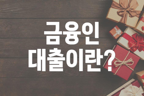 금융인 대출이란?