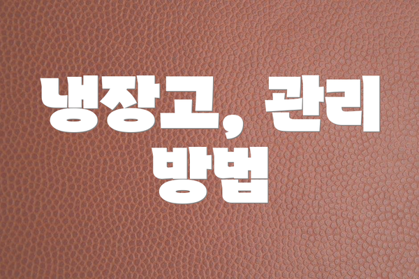 냉장고, 관리 방법