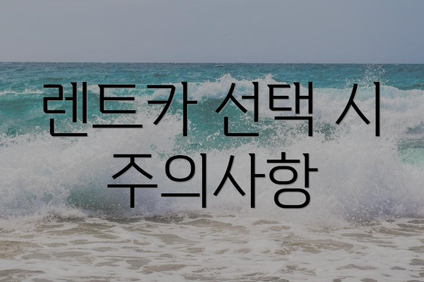 렌트카 선택 시 주의사항