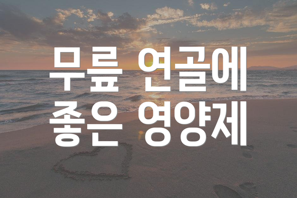 무릎 연골에 좋은 영양제