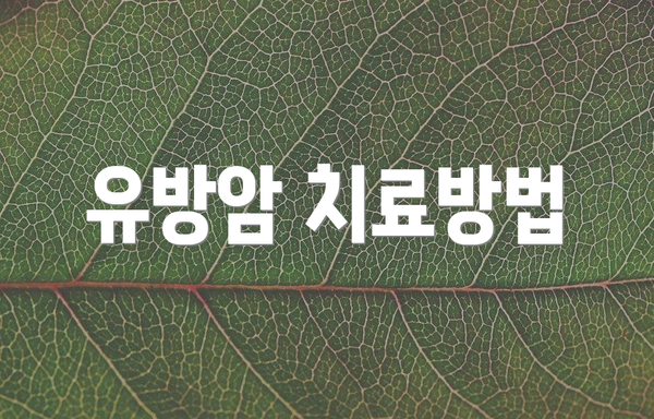 유방암 치료방법