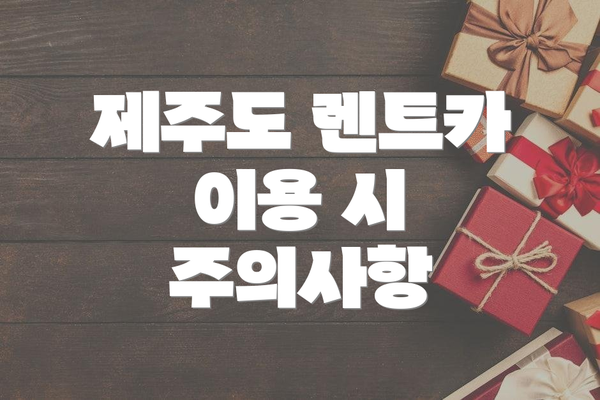제주도 렌트카 이용 시 주의사항