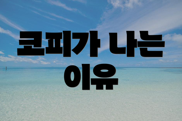 코피가 나는 이유