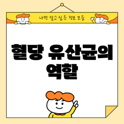 혈당 유산균의 역할