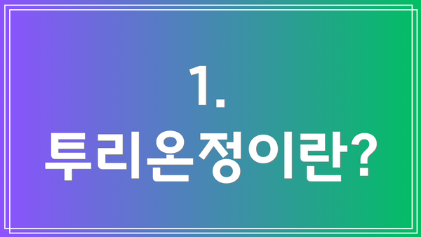 1. 투리온정이란?