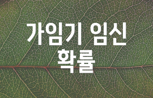 가임기 임신 확률