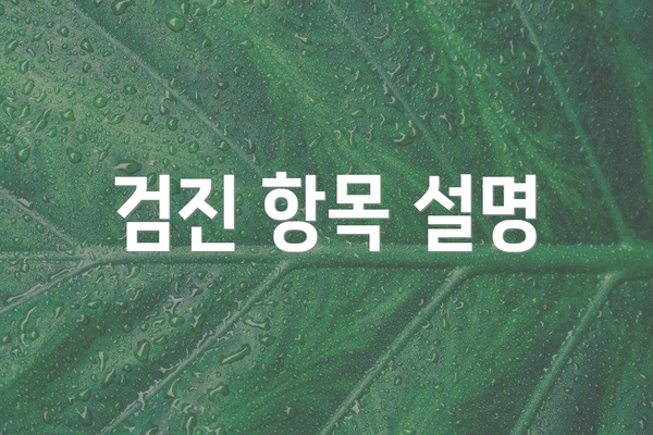 검진 항목 설명