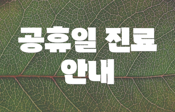 공휴일 진료 안내