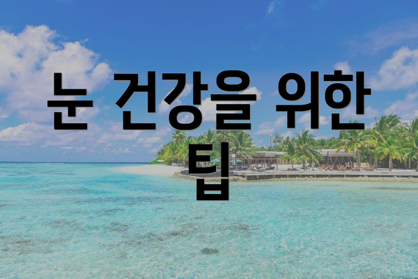 눈 건강을 위한 팁