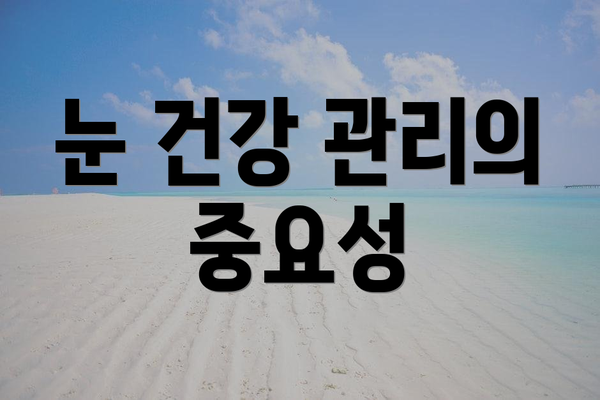 눈 건강 관리의 중요성
