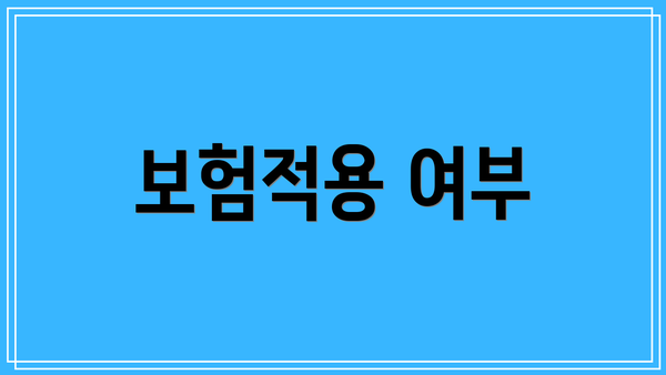 보험적용 여부