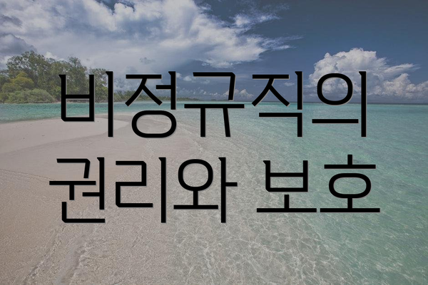 비정규직의 권리와 보호
