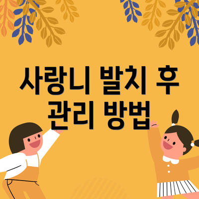 사랑니 발치 후 관리 방법