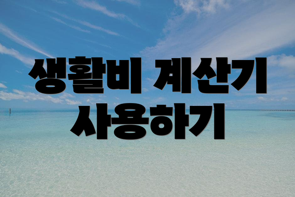생활비 계산기 사용하기