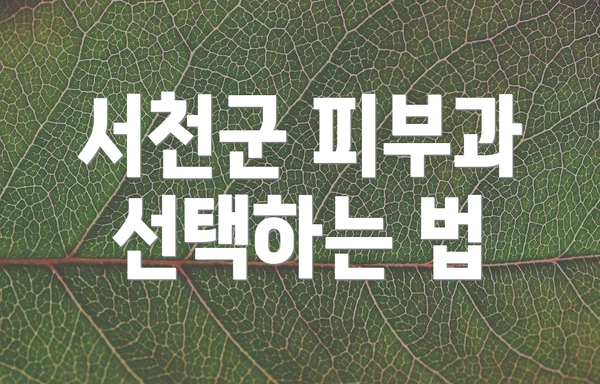 서천군 피부과 선택하는 법