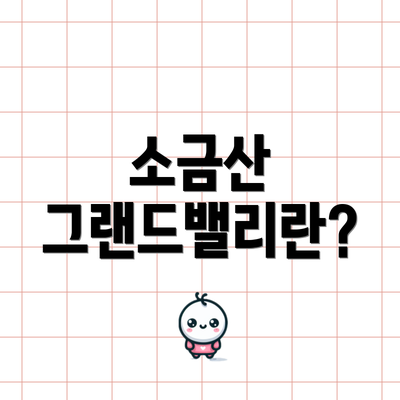 소금산 그랜드밸리란?