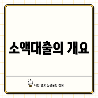 소액대출의 개요