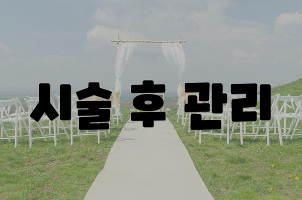 시술 후 관리
