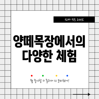 양떼목장에서의 다양한 체험