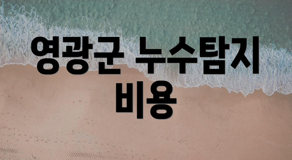 영광군 누수탐지 비용