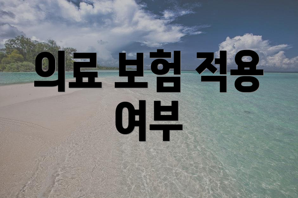 의료 보험 적용 여부
