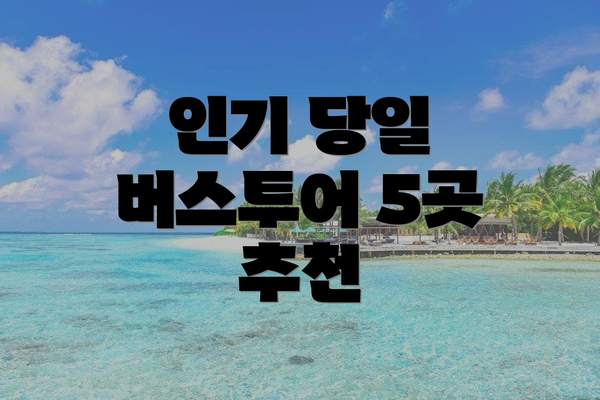 인기 당일 버스투어 5곳 추천