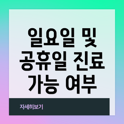 일요일 및 공휴일 진료 가능 여부