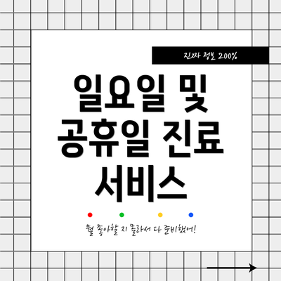 일요일 및 공휴일 진료 서비스