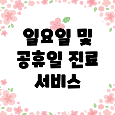 일요일 및 공휴일 진료 서비스