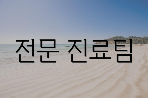 전문 진료팀