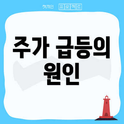 주가 급등의 원인