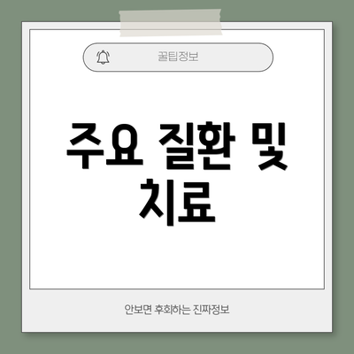 주요 질환 및 치료