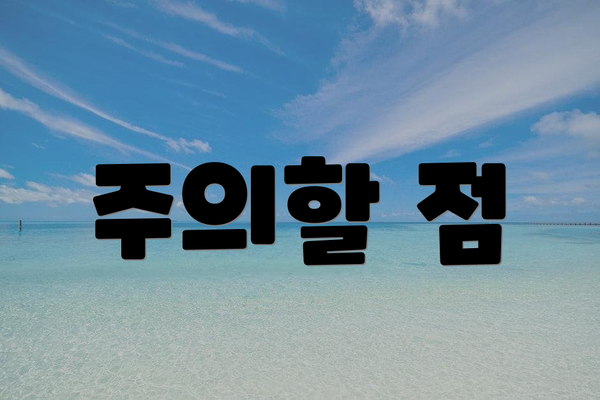 주의할 점