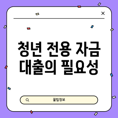 청년 전용 자금 대출의 필요성