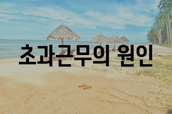 초과근무의 원인