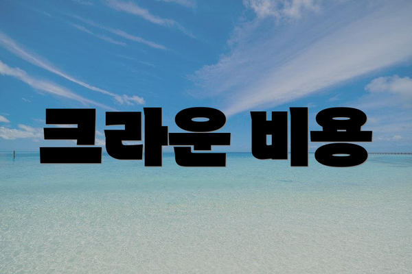 크라운 비용